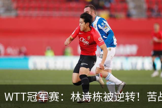 WTT冠军赛：林诗栋被逆转！苦战7局止步8强，最近28连胜后遭首败